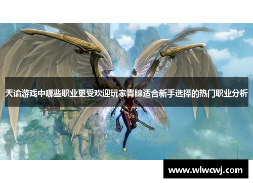 天谕游戏中哪些职业更受欢迎玩家青睐适合新手选择的热门职业分析 天谕游戏中哪些职业更受欢迎玩家青睐适合新手选择的热门职业分析