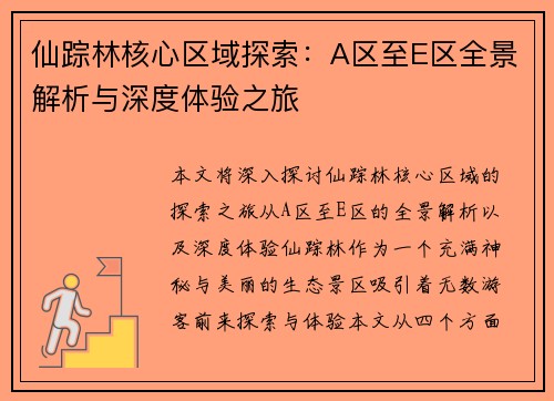 仙踪林核心区域探索：A区至E区全景解析与深度体验之旅